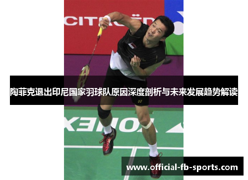 陶菲克退出印尼国家羽球队原因深度剖析与未来发展趋势解读